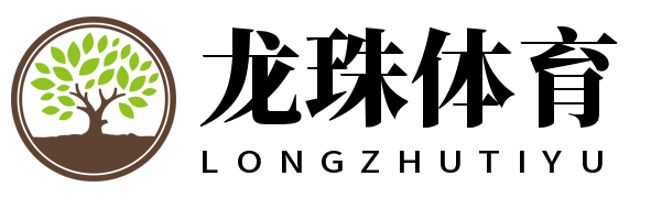 龙珠体育
